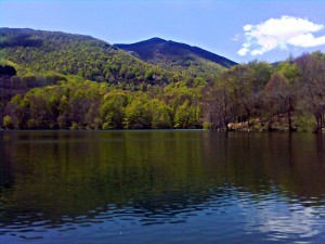 Parc Natural de Montseny