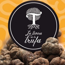 Prueba la trufa negra de Soria